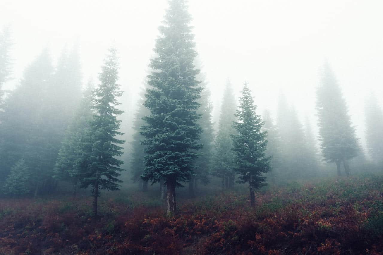 photo-jay-mantri-n-176